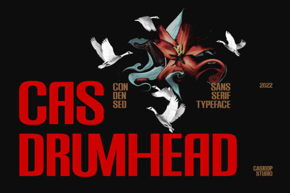 Cas Drumhead: A Balanced Display Font for Digital Design